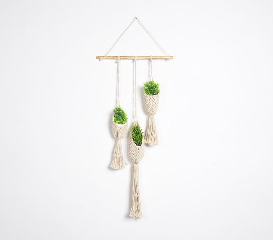 hanging planterBalance Three 花邊棉手工編織壁掛盆栽WĒNDĀO
